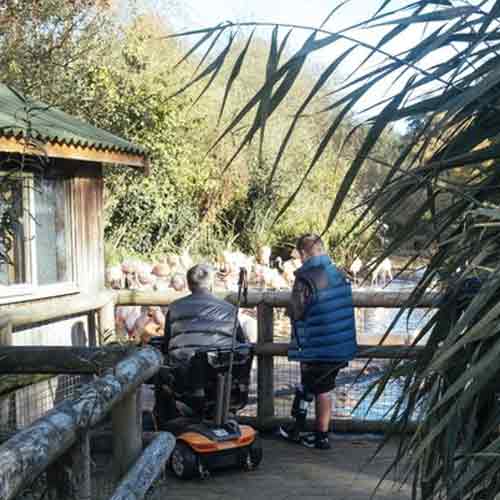 disabled-accessibility-on-jersey